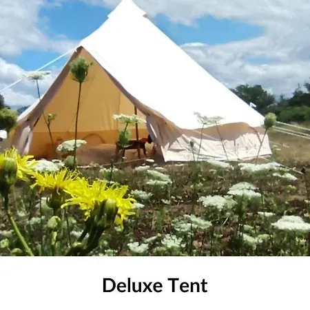 Camping @ Nogometni Golf *
